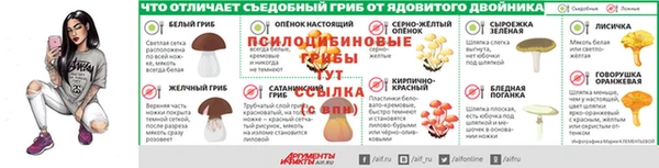 MESCALINE Баксан