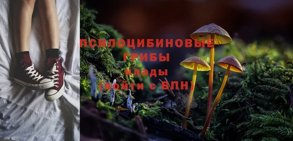 синтетический гашиш Арсеньев