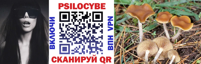Галлюциногенные грибы Psilocybine cubensis Полярные Зори