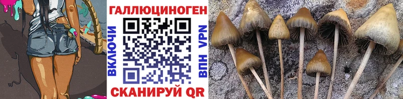 хочу   Полярные Зори  Псилоцибиновые грибы Magic Shrooms 