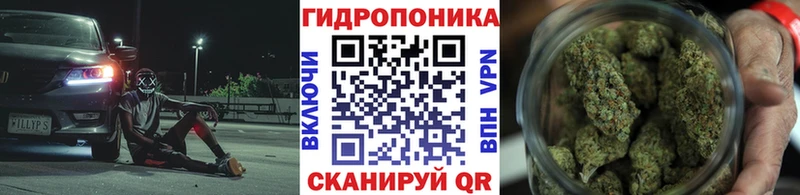 Шишки марихуана Amnesia Полярные Зори